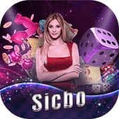 8143 com slots
